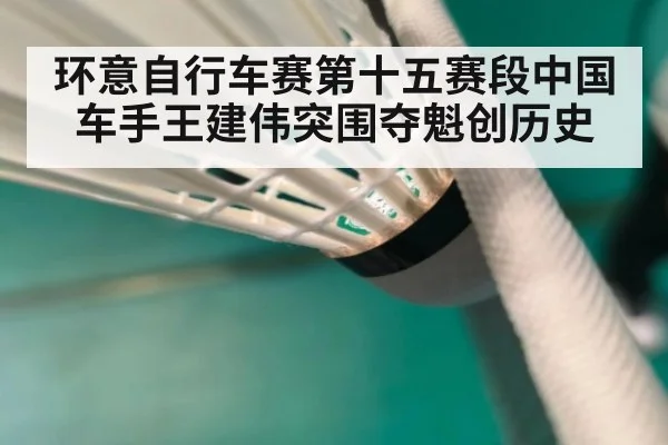 环意自行车赛第十五赛段中国车手王建伟突围夺魁创历史