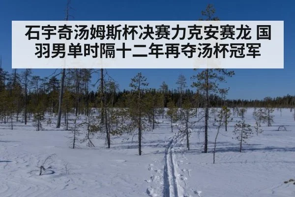 石宇奇汤姆斯杯决赛力克安赛龙 国羽男单时隔十二年再夺汤杯冠军